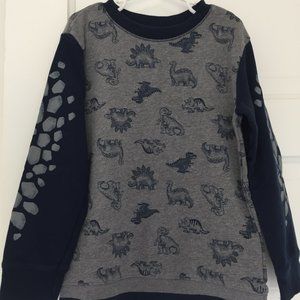 BOGO Boys Dinosaur sweatshirt
